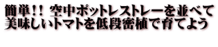 簡単!! 空中ポットレストレーを並べて 美味しいトマトを低段密植で育てよう  