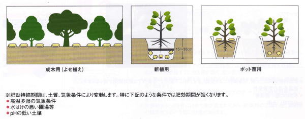 IBワンス４号使用例