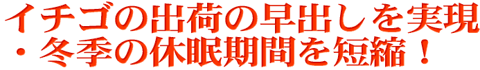 イチゴの早出し出荷の実現・冬季の中休みの短縮