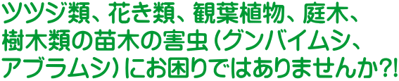 ツツジ類、花き類、観葉植物、庭木、 樹木類の苗木の害虫（グンバイムシ、 アブラムシ）にお困りではありませんか?!