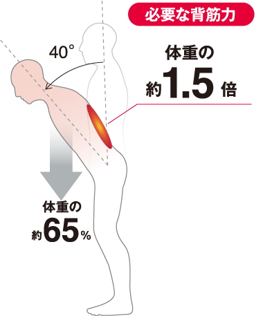 サポートの仕組み　必要な背筋力　体重の約1.5倍