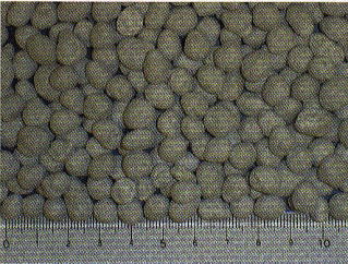 バーディーラージ肥料の画像