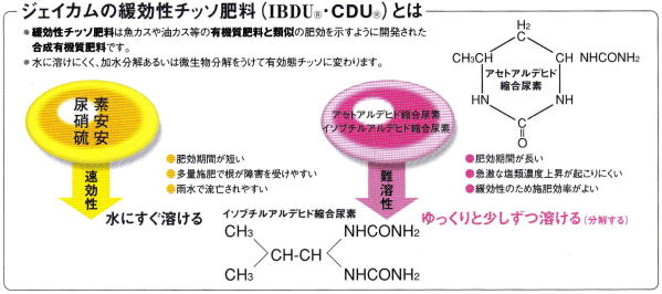 ジェイカムの緩効性チッソ肥料(IBDU/CDU)とは