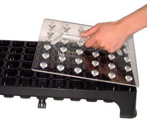 穴押器（鎮圧板）