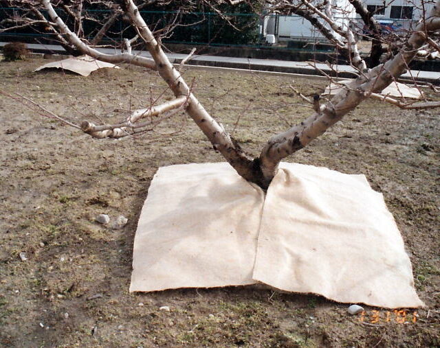 グランドマット