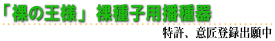 裸の王様