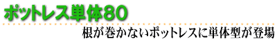 ポットレス単体８０